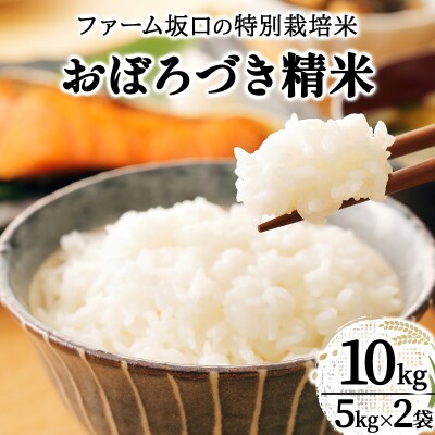 令和7年産!ファーム坂口の特別栽培米 おぼろづき精米 10kg(5kg×2)