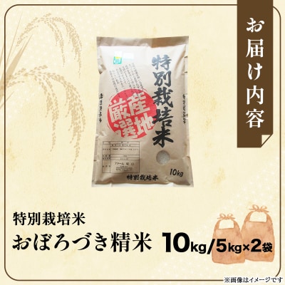令和7年産!ファーム坂口の特別栽培米 おぼろづき精米 10kg(5kg×2)