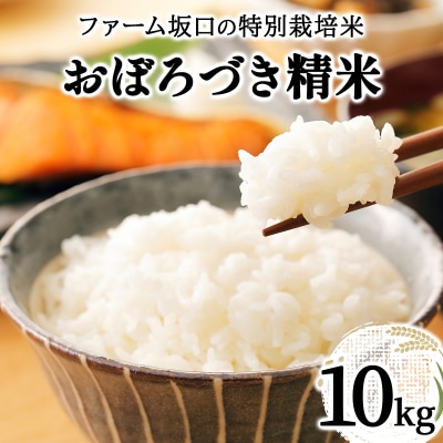 令和7年産!ファーム坂口の特別栽培米 おぼろづき精米 10kg(10kg×1)