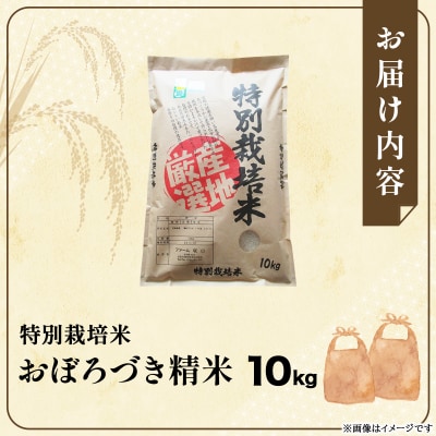 令和7年産!ファーム坂口の特別栽培米 おぼろづき精米 10kg(10kg×1)