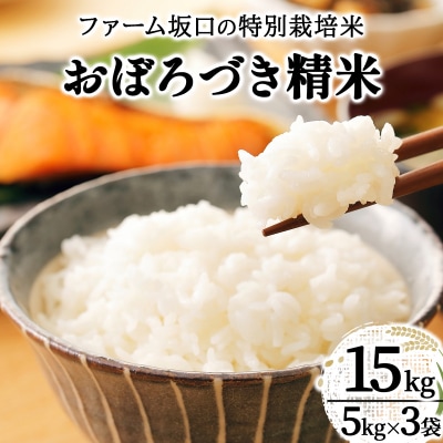 令和7年産!ファーム坂口の特別栽培米 おぼろづき精米 15kg(5kg×3)