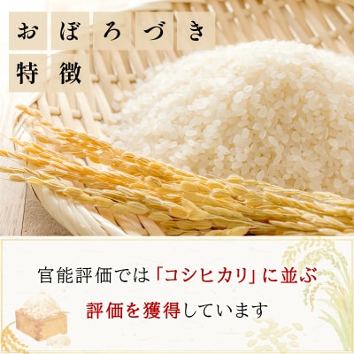 令和7年産!ファーム坂口の特別栽培米 おぼろづき精米 15kg(5kg×3)
