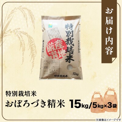 令和7年産!ファーム坂口の特別栽培米 おぼろづき精米 15kg(5kg×3)