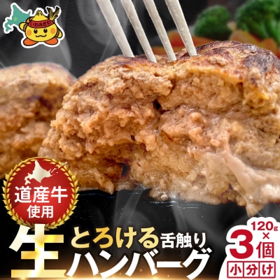生ハンバーグ 360g(120g×3個)