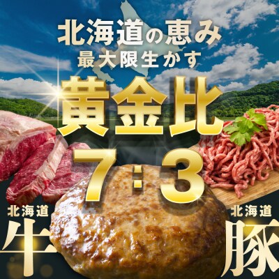 生ハンバーグ 360g(120g×3個)