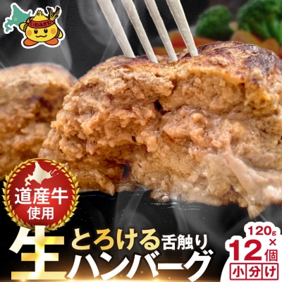 生ハンバーグ 1.44kg (120g×12個)