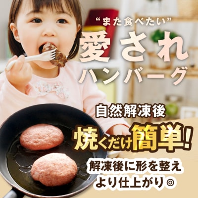 生ハンバーグ 1.44kg (120g×12個)