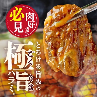 牛ハラミ 特厚徳川味噌ダレ 1.2kg (400g×3pc)