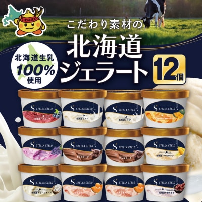 STELLA CIELO 北海道ジェラート12個