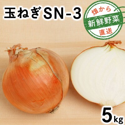 【先行予約】畑から 直送 の 新鮮野菜!玉ねぎ(SN-3)5kg [a168-001]