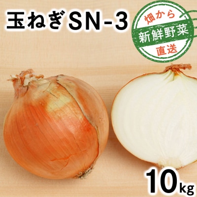 【先行予約】畑から 直送 の 新鮮野菜!玉ねぎ(SN-3) 10kg [a168-002]