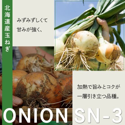 【先行予約】畑から 直送 の 新鮮野菜!玉ねぎ(SN-3) 10kg [a168-002]