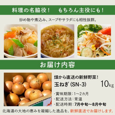 【先行予約】畑から 直送 の 新鮮野菜!玉ねぎ(SN-3) 10kg [a168-002]