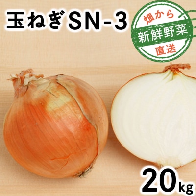 【先行予約】畑から 直送 の 新鮮野菜!玉ねぎ(SN-3) 20kg [a168-003]