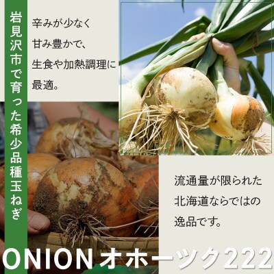【先行予約】畑から 直送 の 新鮮野菜!玉ねぎ(オホーツク222)5kg [a168-004]