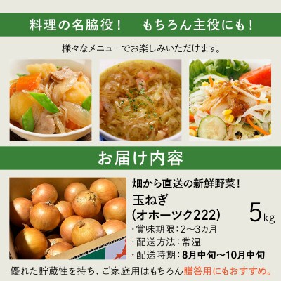 【先行予約】畑から 直送 の 新鮮野菜!玉ねぎ(オホーツク222)5kg [a168-004]