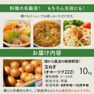 【先行予約】畑から直送の新鮮野菜!玉ねぎ(オホーツク222) 10kg [a168-005]
