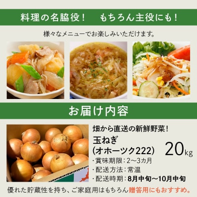 【先行予約】畑から直送の新鮮野菜!玉ねぎ(オホーツク222) 20kg [a168-006]
