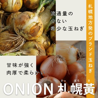 【先行予約】幻の玉ねぎ!札幌黄(さっぽろき)5kg [a168-010]
