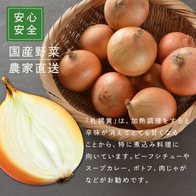 【先行予約】幻の玉ねぎ!札幌黄(さっぽろき)5kg [a168-010]