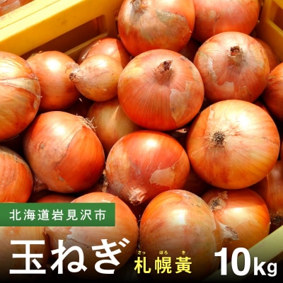 【先行予約】幻の玉ねぎ!札幌黄(さっぽろき)10kg [a168-011]