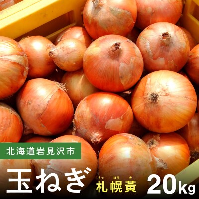 【先行予約】幻の玉ねぎ!札幌黄(さっぽろき)20kg [a168-012]