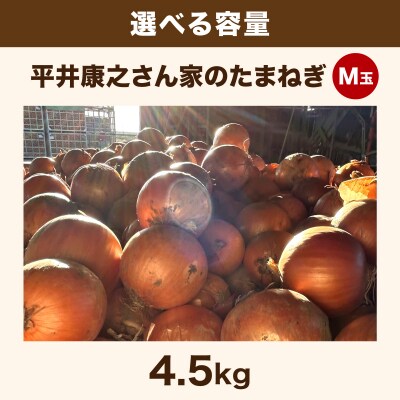 岩見沢産「平井康之さん家のたまねぎ」M玉 4.5kg