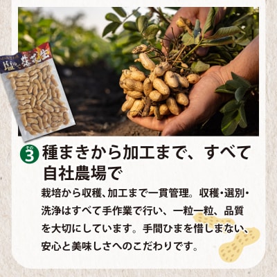 塩茹で落花生(冷凍)【a172-001】