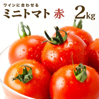 【先行販売】【ファーム雫】ワインに合わせるミニトマト赤 2kg【a127-003】