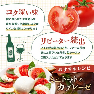 【先行販売】【ファーム雫】ワインに合わせるミニトマト赤 2kg【a127-003】