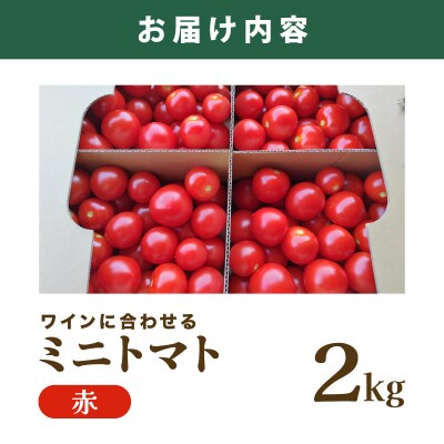 【先行販売】【ファーム雫】ワインに合わせるミニトマト赤 2kg【a127-003】