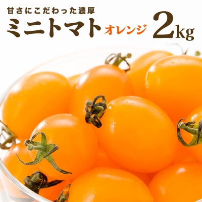 【先行販売】【ファーム雫】甘さにこだわった濃厚オレンジミニトマト 2kg【a127-004】