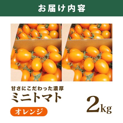 【先行販売】【ファーム雫】甘さにこだわった濃厚オレンジミニトマト 2kg【a127-004】