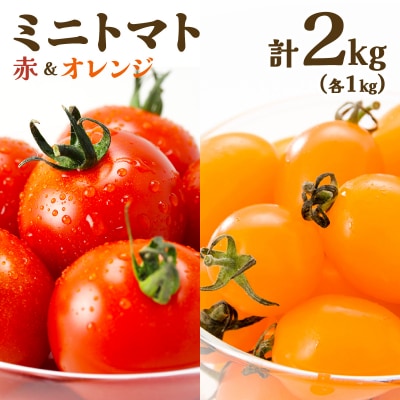 【先行販売】【ファーム雫】食べ比べセット　ミニトマト赤&オレンジ計2kg【a127-005】