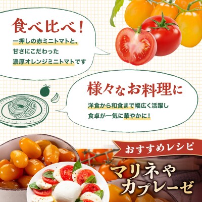 【先行販売】【ファーム雫】食べ比べセット　ミニトマト赤&オレンジ計2kg【a127-005】