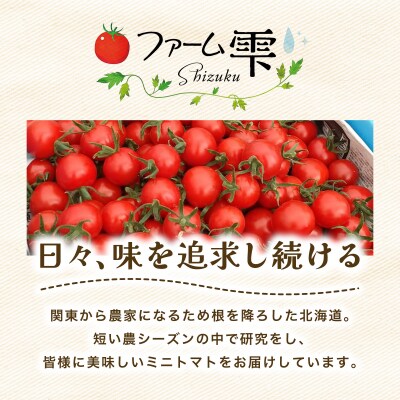 【先行販売】【ファーム雫】食べ比べセット　ミニトマト赤&オレンジ計2kg【a127-005】