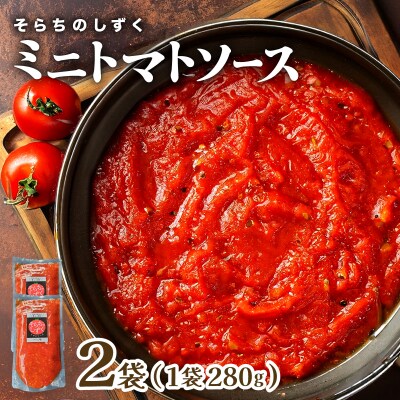 空知の恵みをギュッと凝縮 そらちのしずくトマトソース 2袋【a127-006】