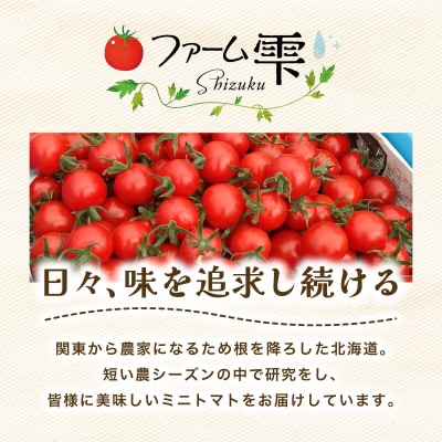 空知の恵みをギュッと凝縮 そらちのしずくトマトソース 2袋【a127-006】