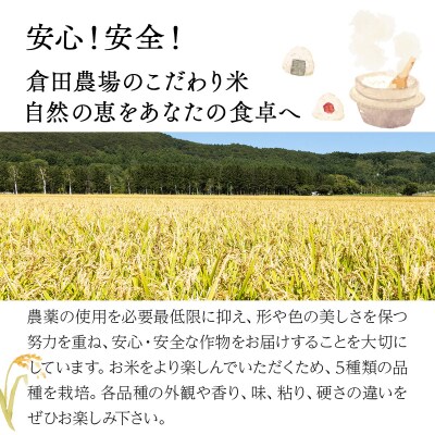 令和7年産北海道岩見沢市産　あやひめ精米5kg≪沖縄・離島配送不可≫ a124-032-R7