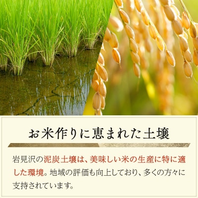 令和7年産北海道岩見沢市産　あやひめ精米5kg≪沖縄・離島配送不可≫ a124-032-R7