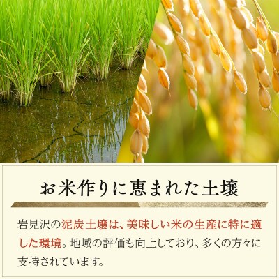 令和7年産 北海道 岩見沢市産 おぼろづき 玄米 5kg≪沖縄・離島配送不可≫a124-035-R7