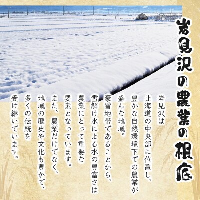 《令和7年産》お米 ななつぼし 10kg|『100%自家生 産精米』善生さんの自慢の米 ※一括発