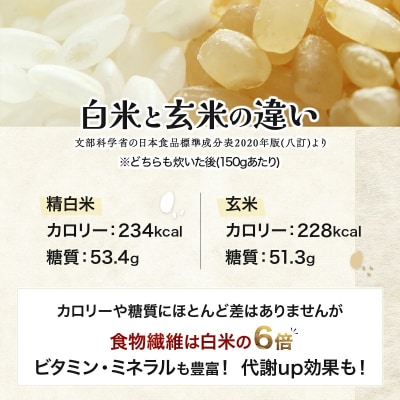 <令和8年産>善生さんの自慢の米 玄米ななつぼし 10kg【a104-116】