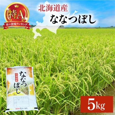 令和7年産 岩見沢産 ななつぼし 5kg 精米【a161-002】