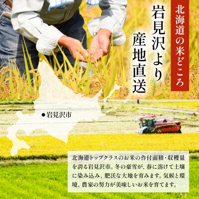 令和7年産 岩見沢産 ななつぼし 5kg 精米【a161-002】