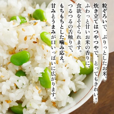 《令和7年産》お米 ゆめぴりか 5kg『100%自家生産精米』善生さんの自慢の米 ※一括発送