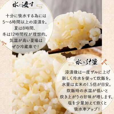 《令和7年産!》『100%自家生産玄米』善生さんの自慢の米 玄米ゆめぴりか5kg ※一括発送