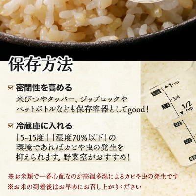 《令和7年産!》『100%自家生産玄米』善生さんの自慢の米 玄米ななつぼし5kg ※一括発送