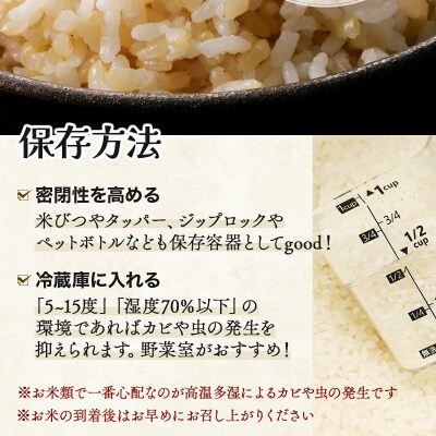<令和8年産>善生さんの自慢の米 玄米ななつぼし 5kg【a104-098】