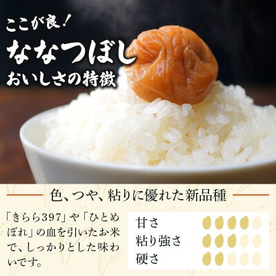 令和7年産 <定期便12回>山下商店ななつぼし 20kg | 北海道 お米 白米【a164-021】
